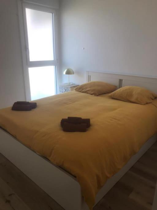 Superbe Appartement Arcachon La Teste-de-Buch Kültér fotó